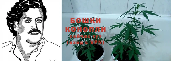 ALPHA PVP Осинники