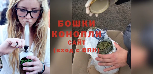 ALPHA PVP Осинники
