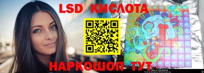 мдпв Камышлов