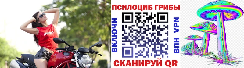 наркотики Чистополь Псилоцибиновые грибы MAGIC MUSHROOMS