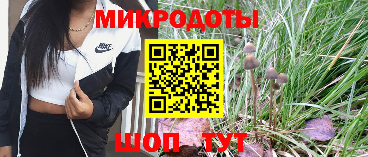 Чистополь  Галлюциногенные грибы Psilocybine cubensis  Вход с VPN 